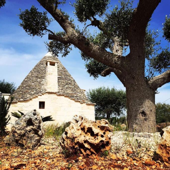Villa Catia Alberobello Exterior photo