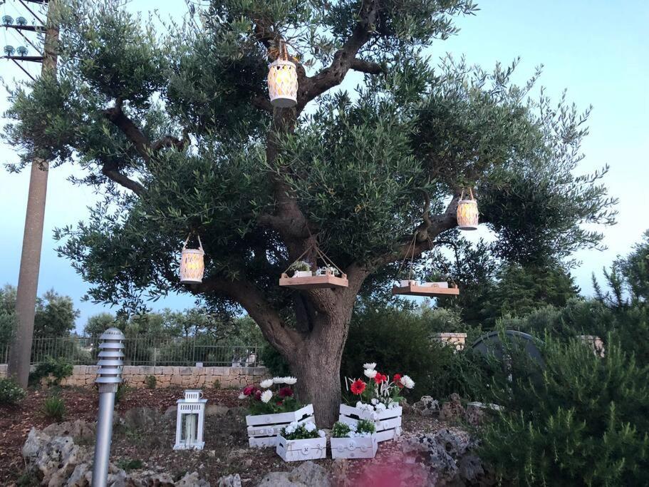Villa Catia Alberobello Exterior photo